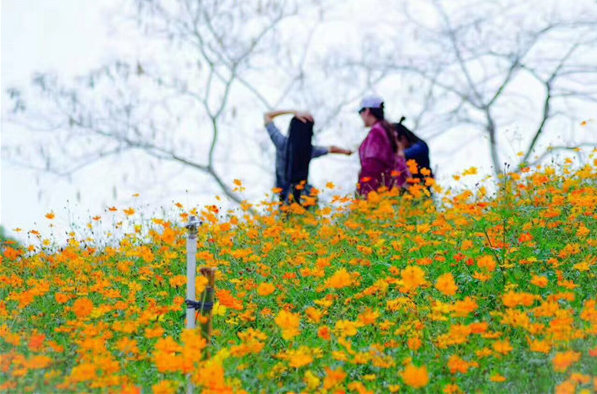 松山湖農(nóng)家樂旅游.png 松山湖農(nóng)家樂旅游.png